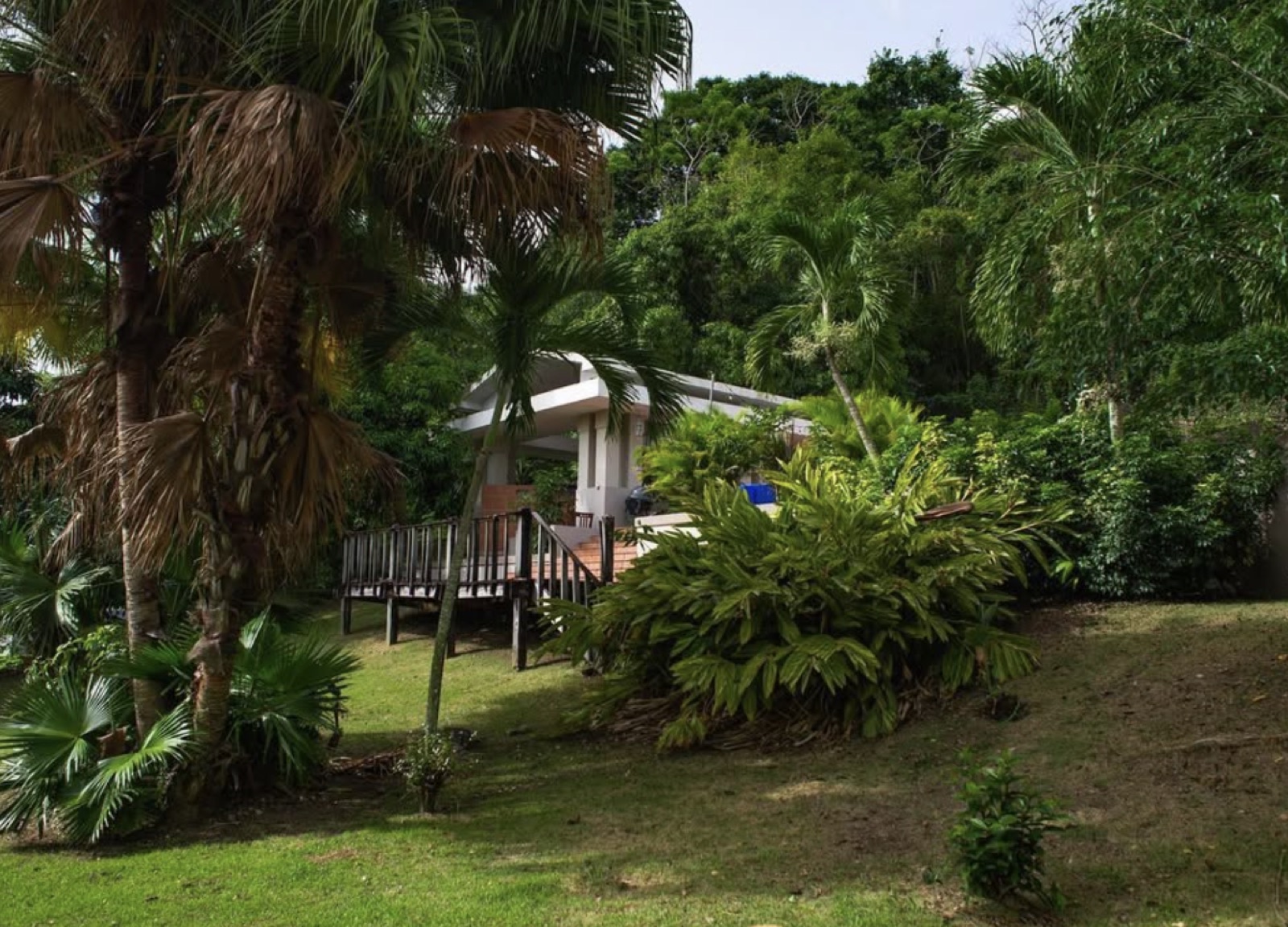 Propiedad rodeada de vegetación tropical y palmeras